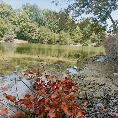 Maison Avec Piscine Chauffee En Residence, 4 Ou 5 Pers, Rdc, Lac, Nature Et Peche