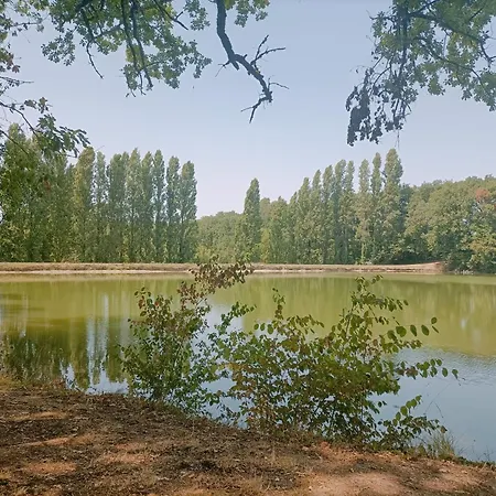 Maison Avec Piscine Chauffee En Residence, 4 Ou 5 Pers, Rdc, Lac, Nature Et Peche Monflanquin