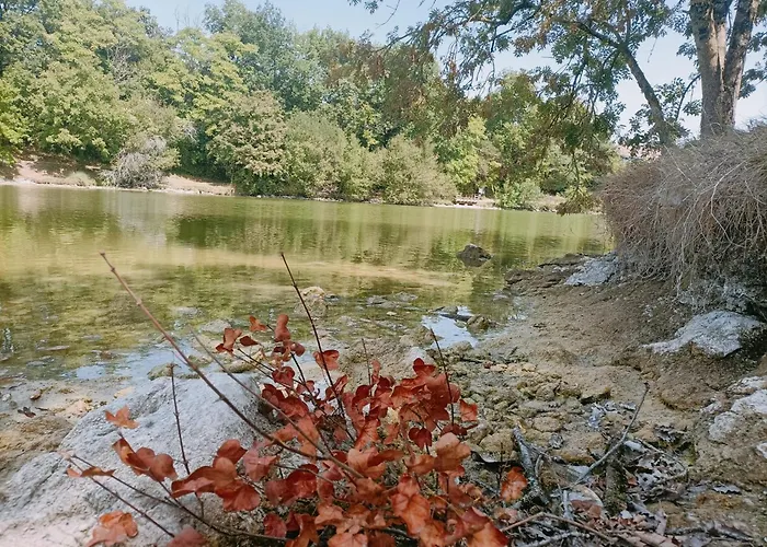 Maison Avec Piscine Chauffee En Residence, 4 Ou 5 Pers, Rdc, Lac, Nature Et Peche
