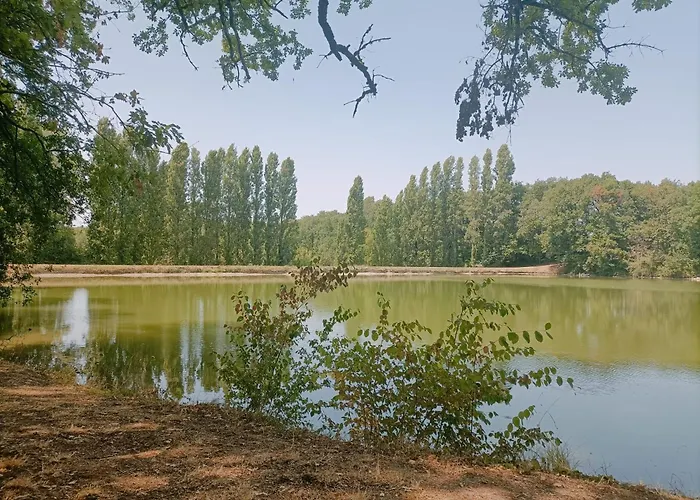 Maison Avec Piscine Chauffee En Residence, 4 Ou 5 Pers, Rdc, Lac, Nature Et Peche Monflanquin